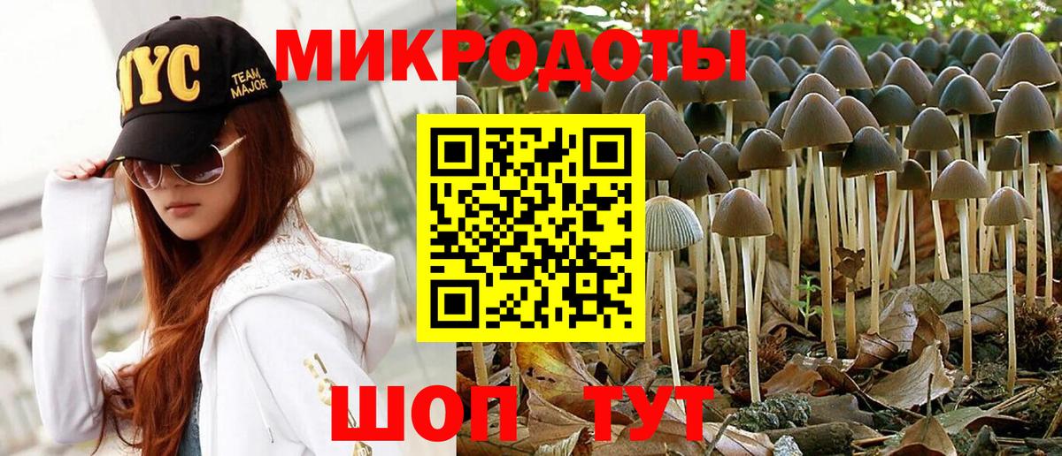 Псилоцибиновые грибы Magic Shrooms  Вход с VPN  Курчатов  Псилоцибиновые грибы мухоморы 