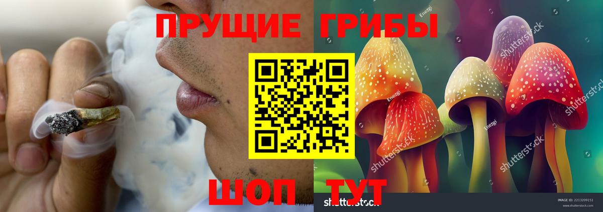 Галлюциногенные грибы прущие грибы Курчатов