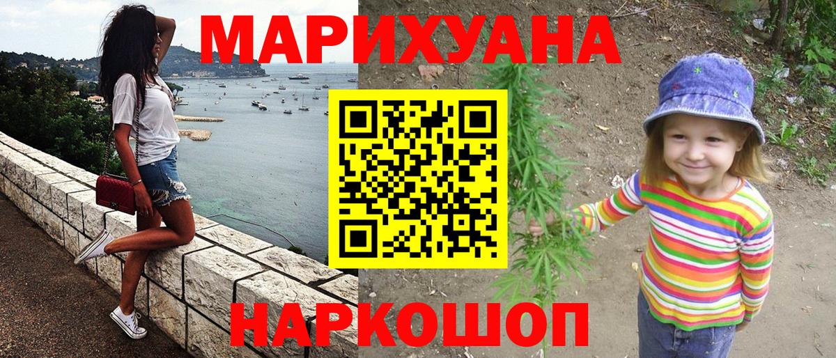 Марихуана конопля Курчатов